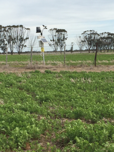 Weather station and telemetry unit of the Birchip soil moisture monitoring site located on the fence line between two paddocks.