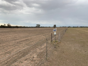 Weather station and telemetry unit of the Giffard soil moisture monitoring site located on the fence line between two paddocks.