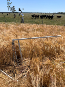Soil core pulley system used to create a one metre soil core, which enables 10 centimetre samples to to taken in the paddock and also enable visual identification of soil layers.