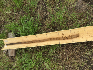 Soil core from the Jancourt paddock, which highlights a gradual change in soil characteristics down the profile.