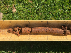 Soil core from the Baynton basalt soil site, which highlights the rich red soil of the paddock.