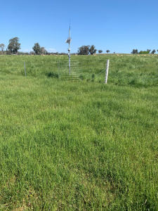Weather station and telemetry unit of the Greta soil moisture monitoring site located on the fence line between two paddocks.