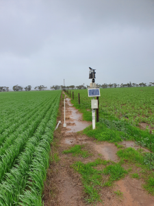 Weather station and telemetry unit of the Brim soil moisture monitoring site located between two paddocks.