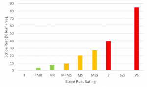 Bar graph showing that as the wheat ratings becomes more susceptible that the per cent leaf area infected also increases
