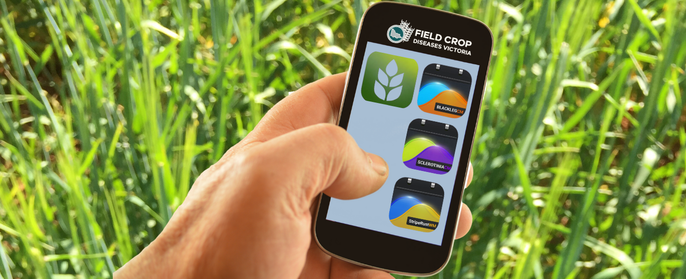 Smartphone with crop disease apps