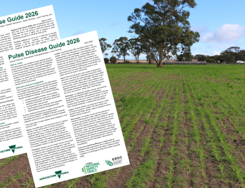 2026 Cereal and Pulse Disease Guides for Victoria