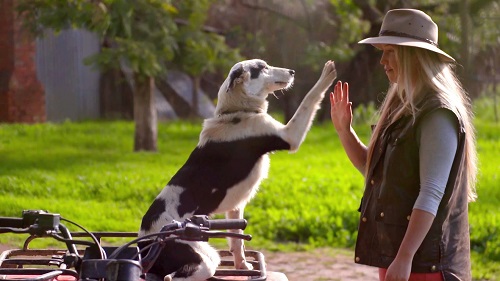 Country woman reaching to touch dog's raised paw