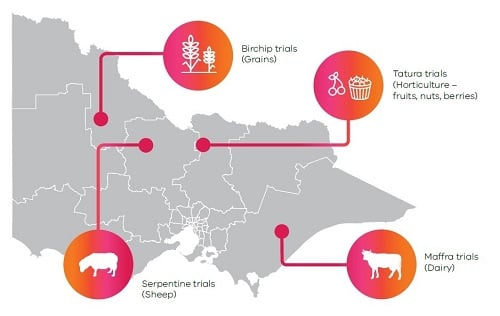 Map showing regions where Internet of Things trials will take place in Victoria
