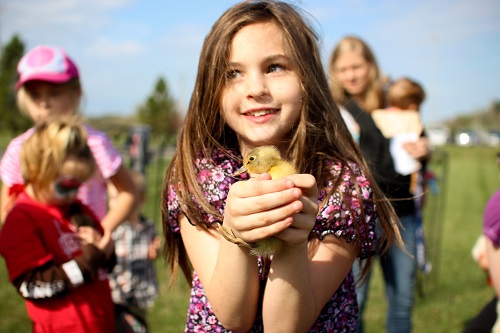 Smiling girl holding duckling