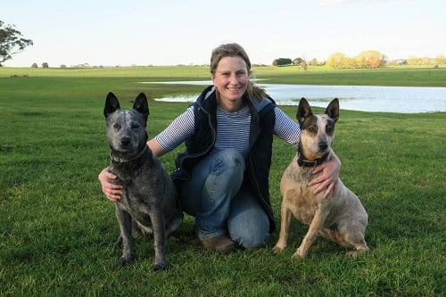 Young farmer, Dr Sarah McLean sits between her two dogs in a paddock