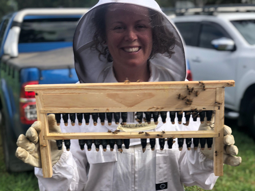 Kyneton beekeeper and 2019 Victorian Rural Woman of the Year Claire Moore displays queen bee cells. She says funding is important to support the survival of honey bees