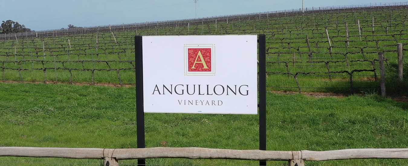 Angullong vineyard with sign