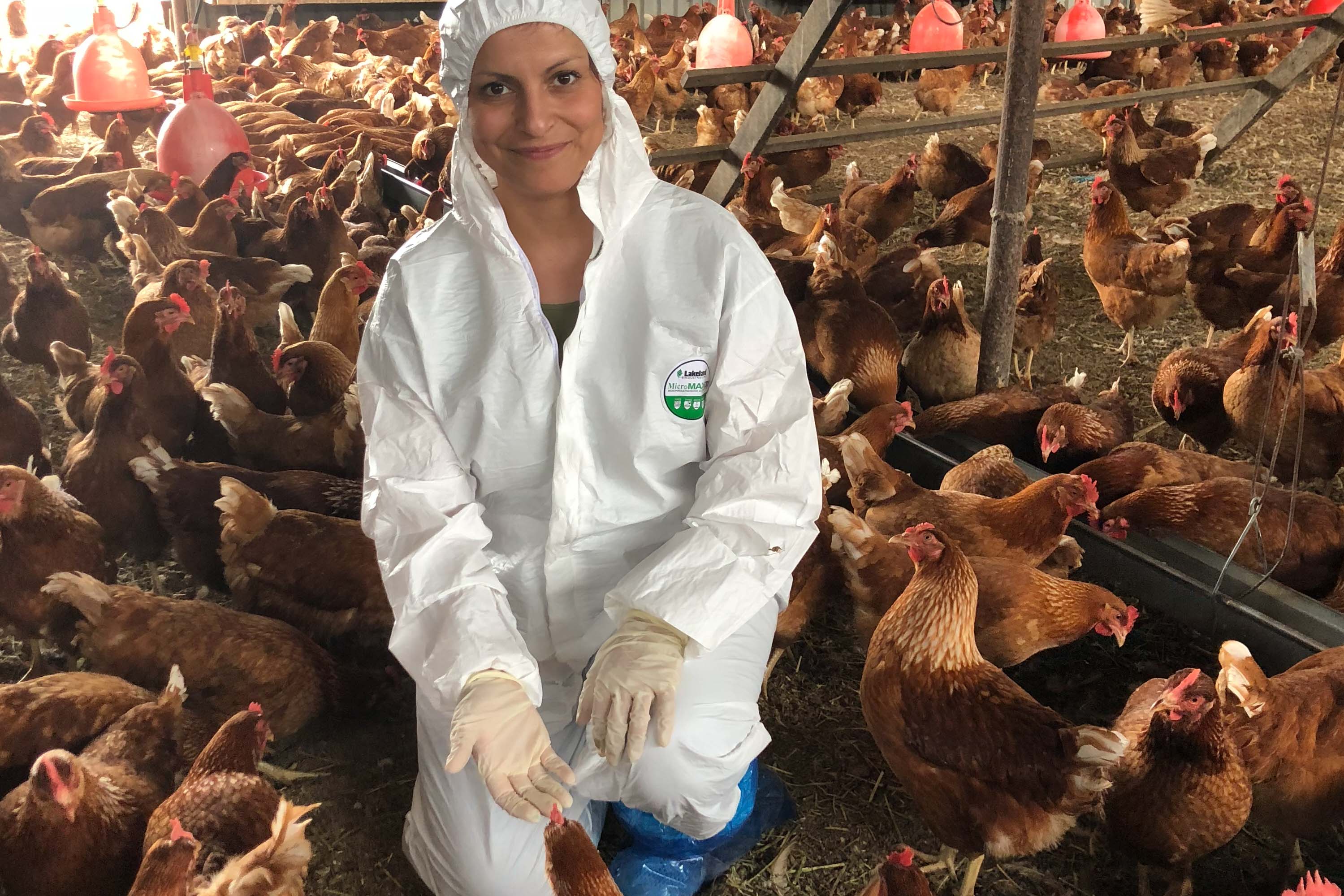 AgriFutures Chicken Meat researcher Lida Omaleki in chicken shed