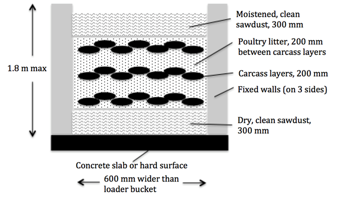 Schematic of layering method for poultry mortality composting in bays.