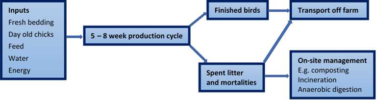 Flow diagram of the typical inputs and outputs of meat chicken farms.