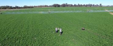Image showing people in a paddock with an irrigator in the background