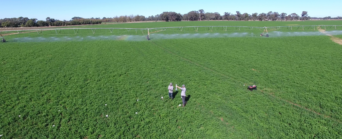 Image showing people in a paddock with an irrigator in the background