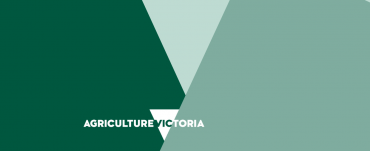 Green triangles with Agriculture Victoria Logo