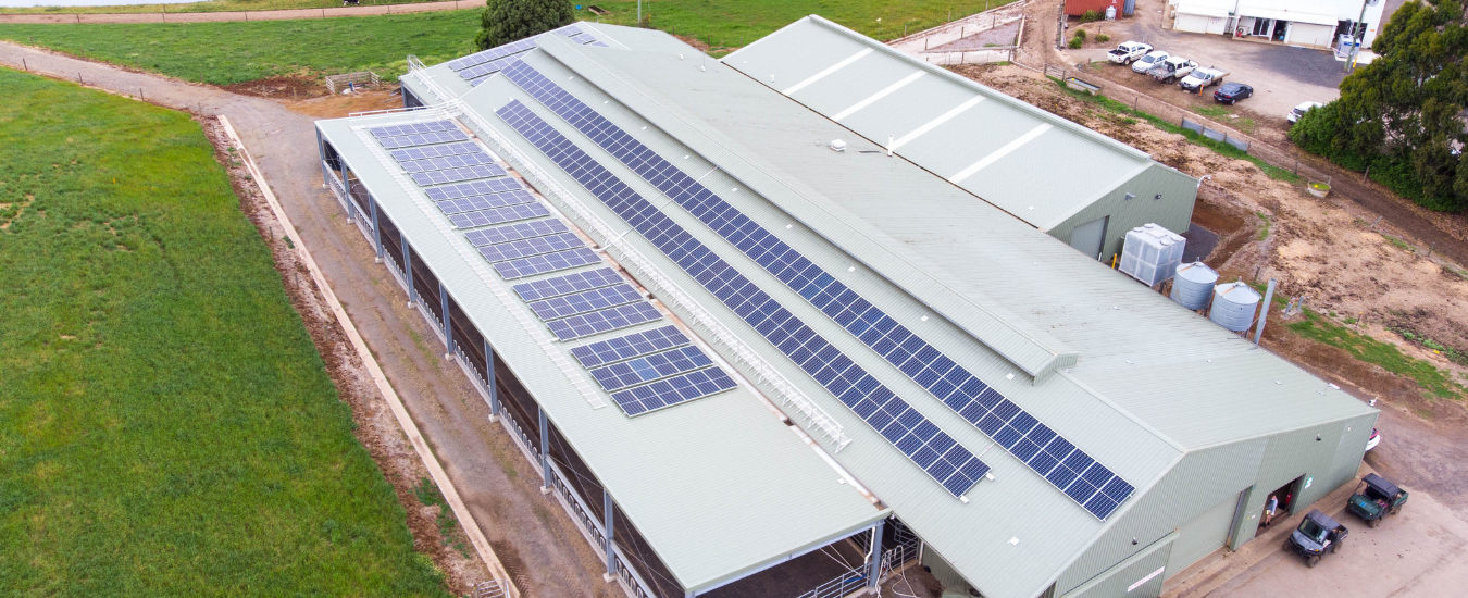 Dairy at Ellinbank with solar panels on the roof