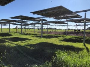 Tracking solar panels at Michael Gaffy's no.2farm