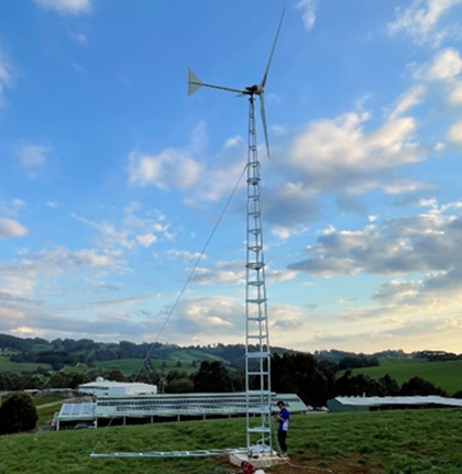 Person standing at the base of a wind turbine in a paddock