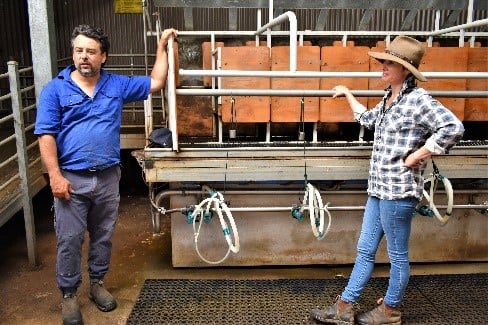 man and woman beside sheep dairy milking machinery