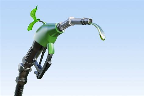 graphic depicting bower pump using renewable diesel showing green fuel and plant emerging from pump