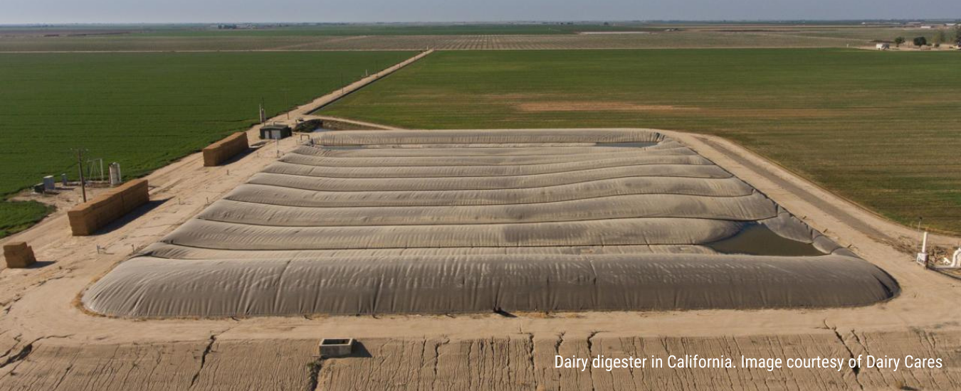 Covered effluent pond on a dairy farm