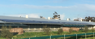 Poultry sheds at Dacra with solar panels