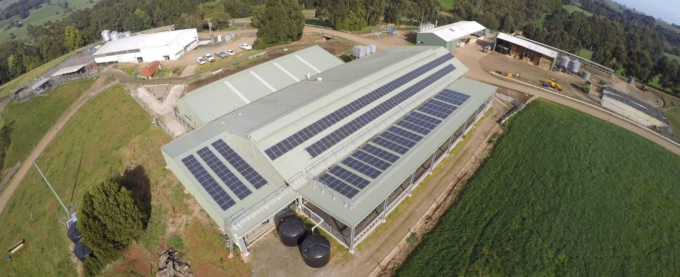 Solar panels on roof at Agriculture Victoria's Ellinbank dairy.