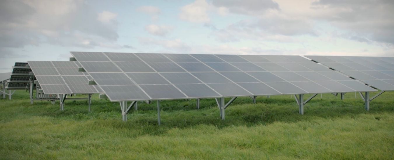 Rows of solar panels on farm with pasture in the foreground.