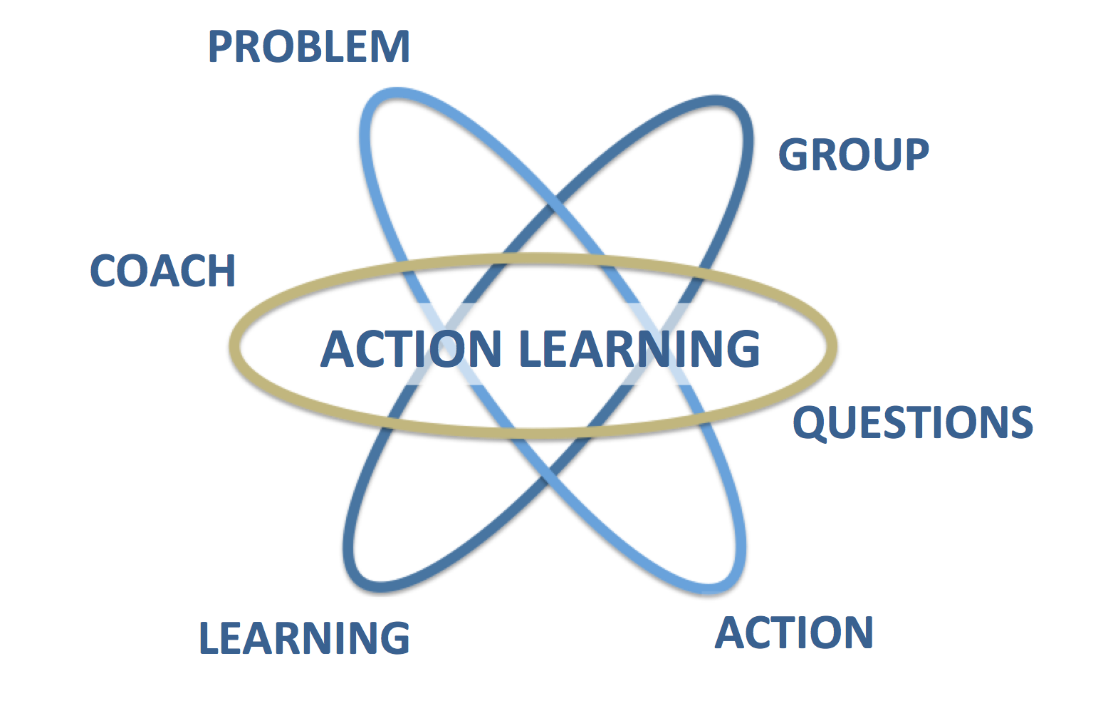 action learning steps