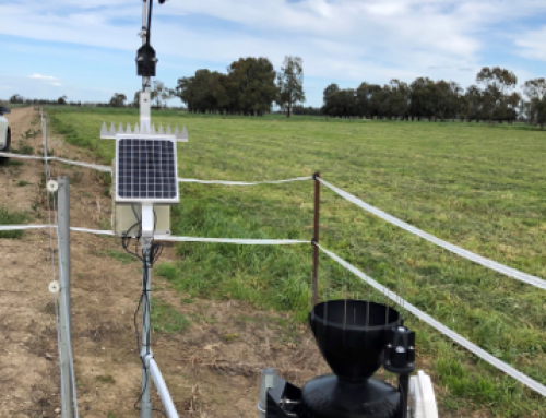 Weekly Irrigation Requirements – Northern Victoria