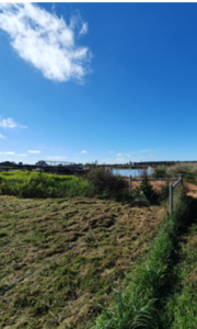 Dam on the new property 