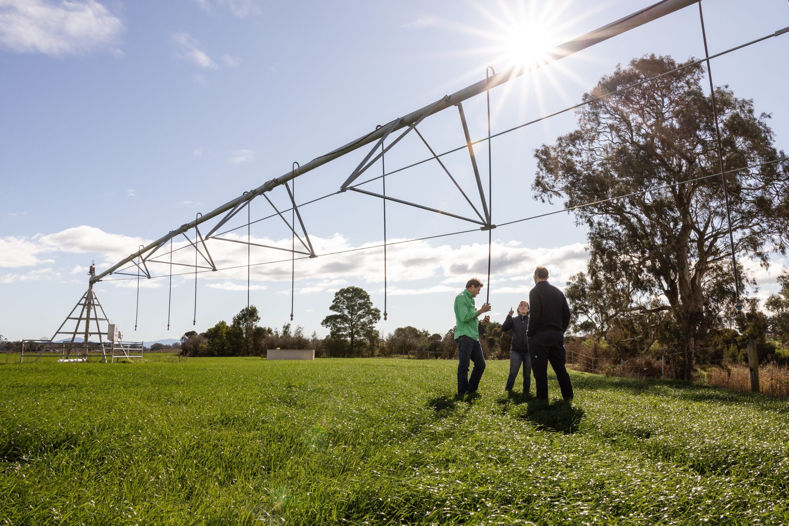 Farmer and advisors in a field under a pivot in front of a line of trees