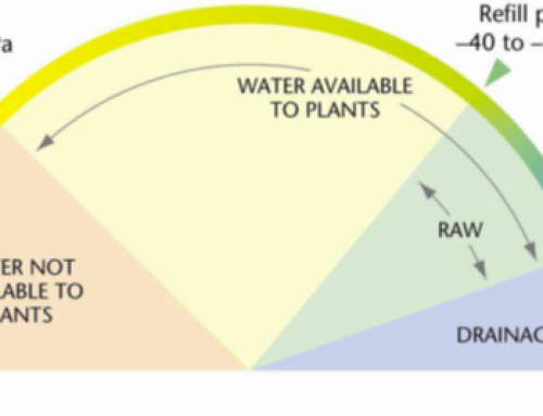 Three factsheets to sharpen your irrigation scheduling