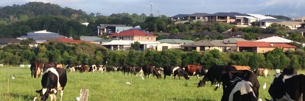 small farm with cows