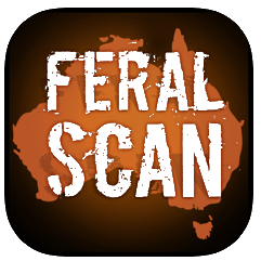 Feral scan logo