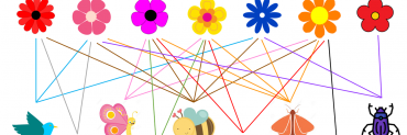 pollination network
