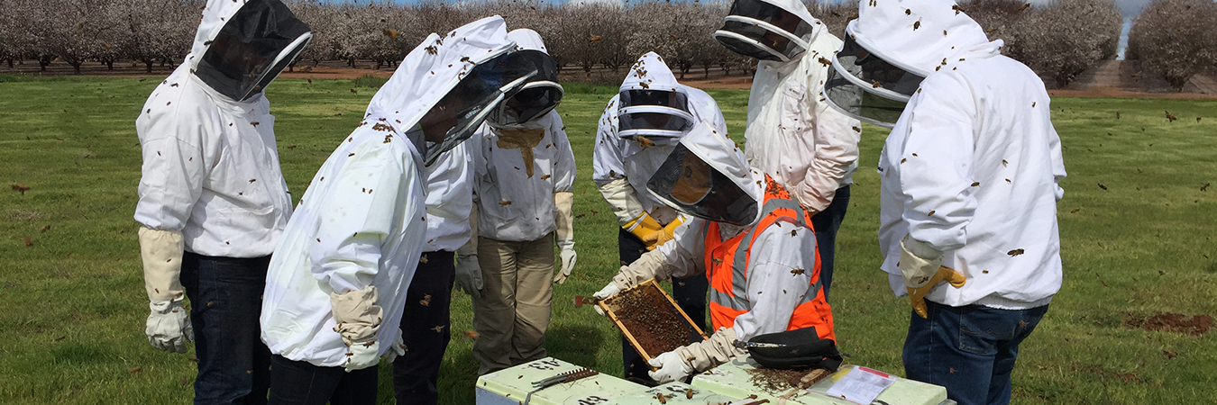 beekeepers training