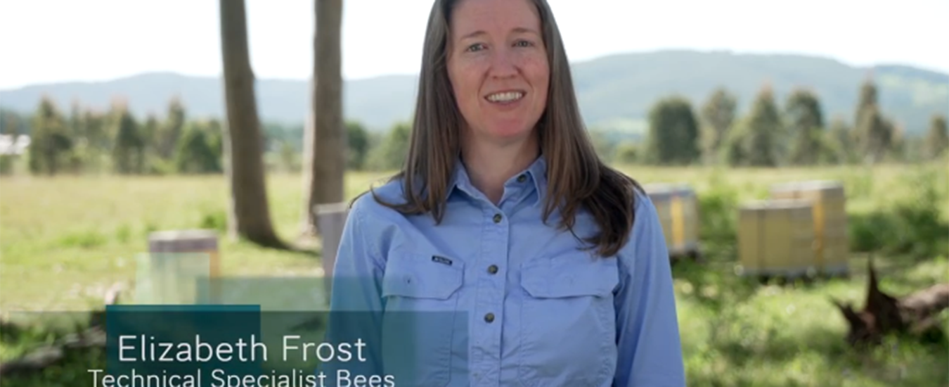 Professional Beekeepers Community of Practice - Professional Beekeepers ...