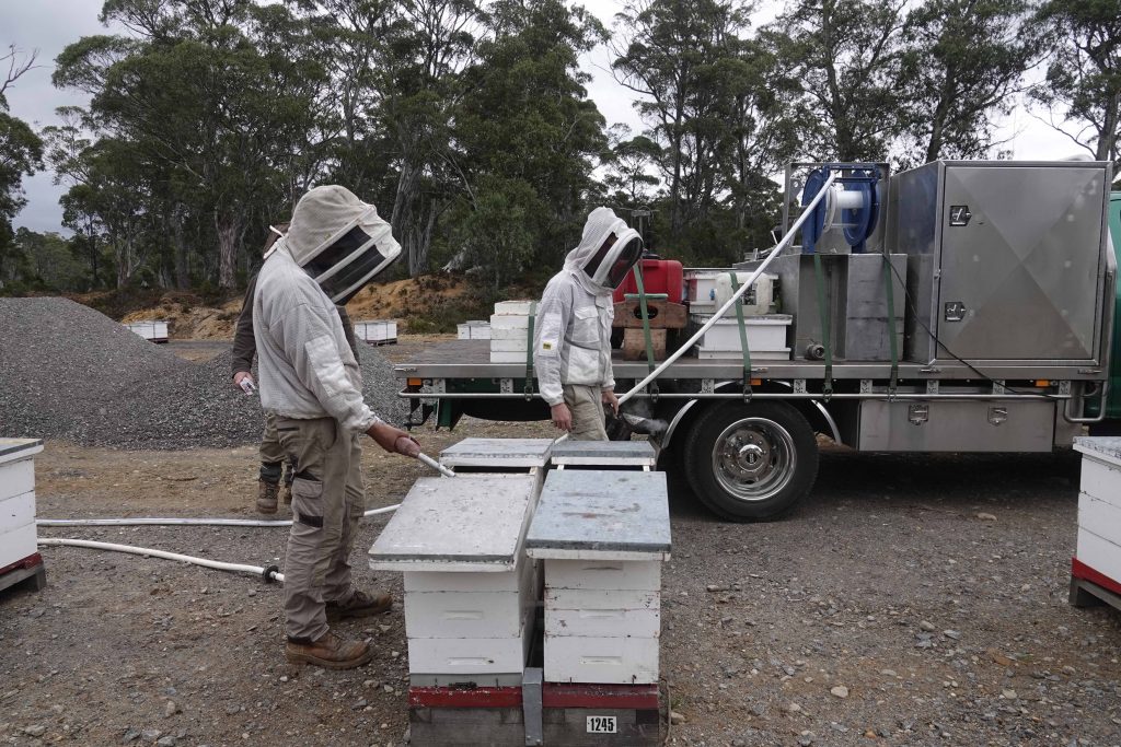 beekeepers with hives near truck