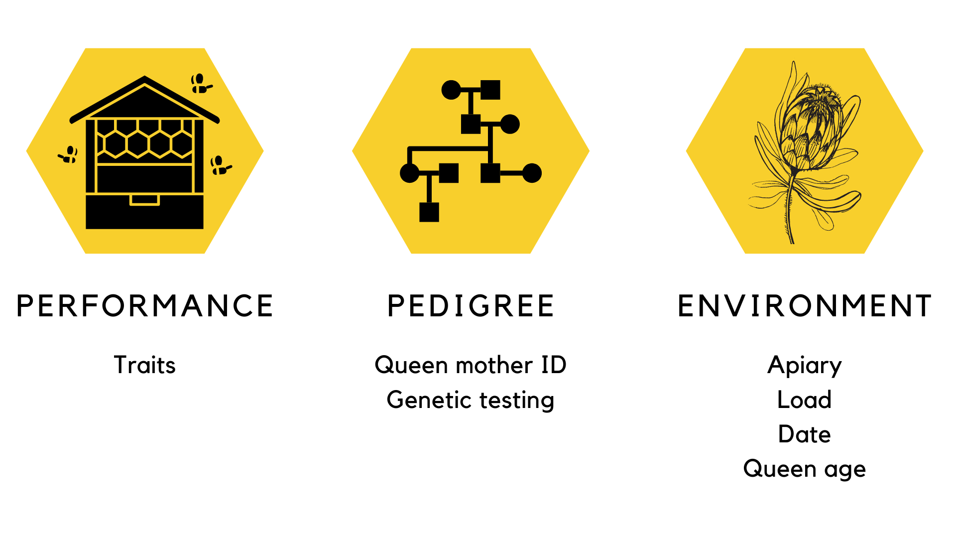 Figure 2. Performance, pedigree and environmental data is required to produce Estimated Breeding Values