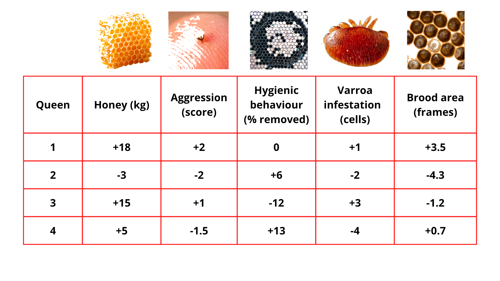 Table 1. Breeding values for four queens for five different traits
