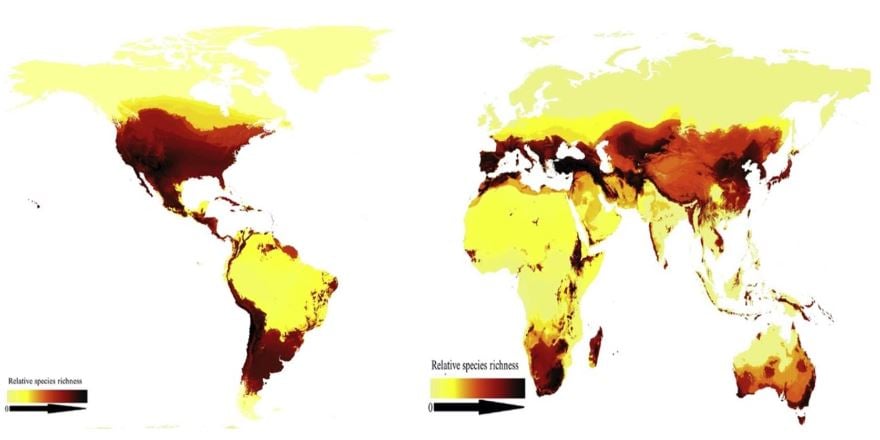 Figure showing Distribution of relative bee species richness globally