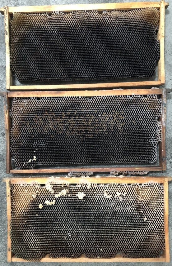 Figure 1. Old comb (~3 years) ready for replacement