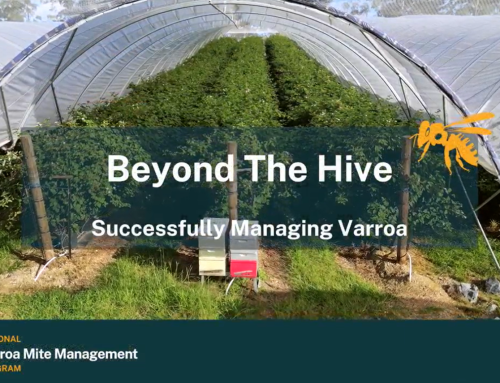 Real Beekeeper Stories: Varroa Mite Case Studies