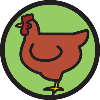 Small Scale Free Range Poultry