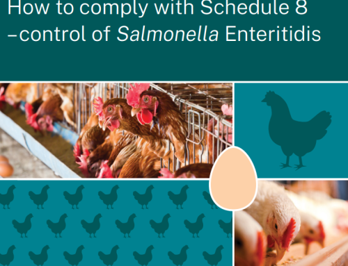 Permanent measures for managing Salmonella Enteritidis in NSW