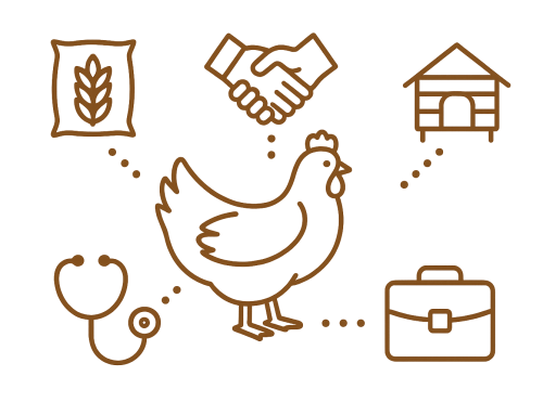 Coming Soon! Small Scale Poultry Business Directory